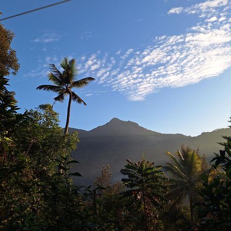 Pepper County Farm Stay Munnar Exteriör bild