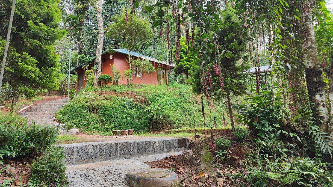 Pepper County Farm Stay Munnar Exteriör bild