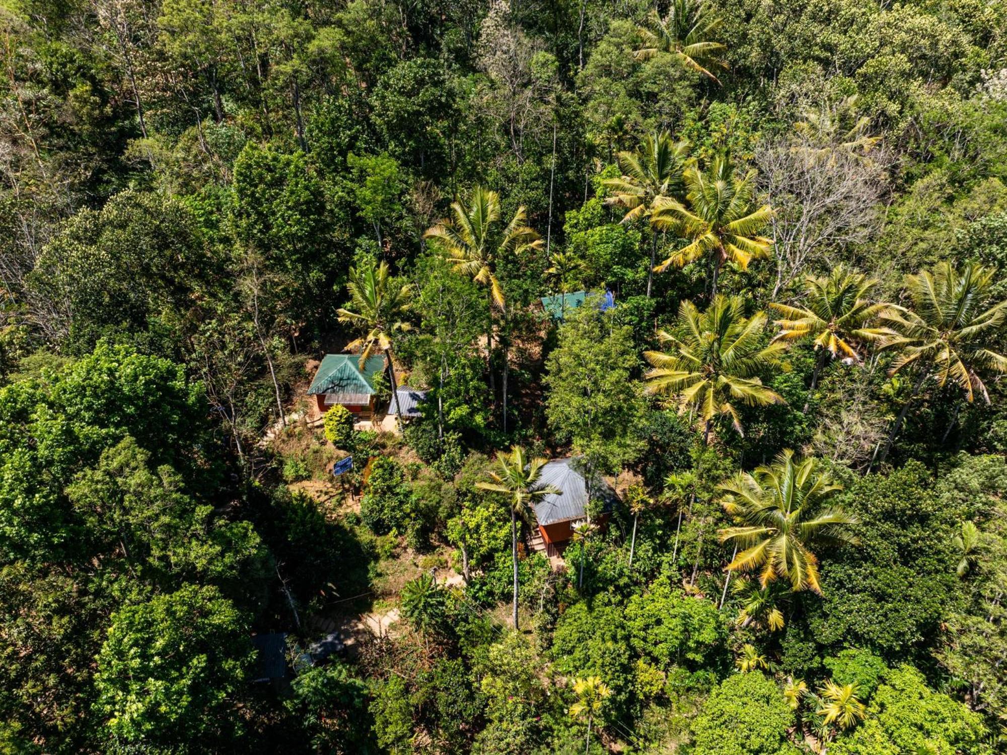 Pepper County Farm Stay Munnar Exteriör bild