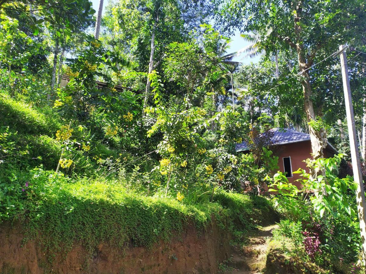 Pepper County Farm Stay Munnar Exteriör bild