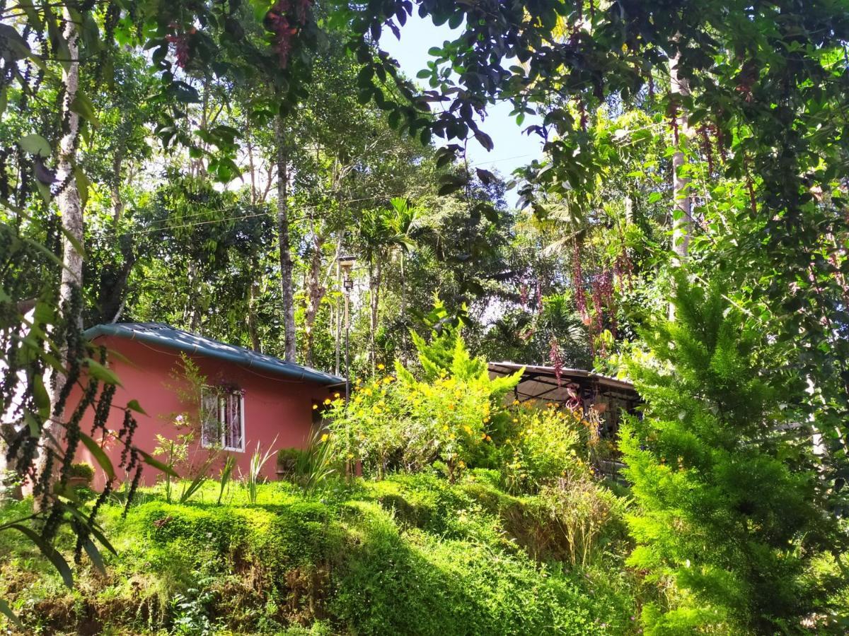 Pepper County Farm Stay Munnar Exteriör bild